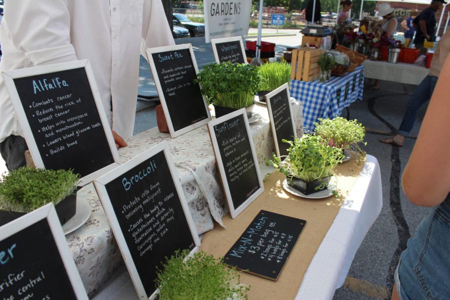 Different types of grass for sale at local farmers' market.