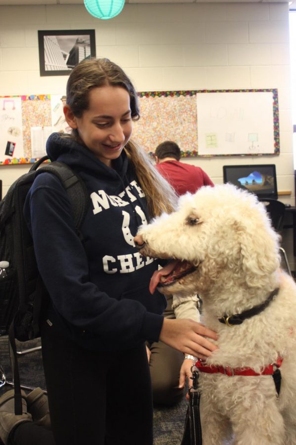 Senior Sami Gotskind pets a dog during North Time in puppy cubby last year. 